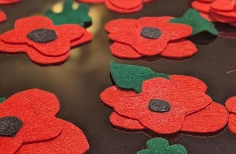 PXL 20251105 155738624.PORTRAIT