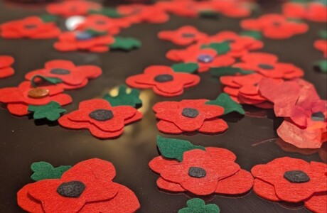 PXL 20251105 155738624.PORTRAIT